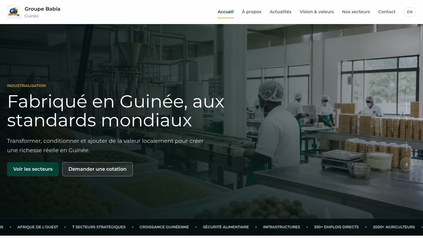 Aperçu du projet Groupe Babia Guinée